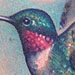 Hummingbird Tattoo Tattoo Design Thumbnail
